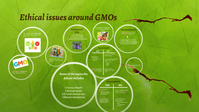 Ethical issues around GMOs by Glo Gallardo Flores