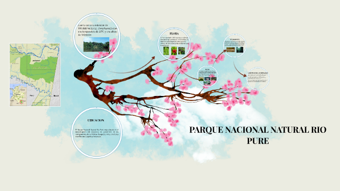PARQUE NACIONAL NATURAL RIO PURE by Karen Avila on Prezi