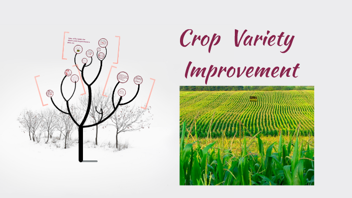 what-is-crop-production-management-with-pictures