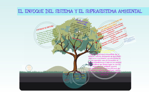 Sistema subsistema 2024 y suprasistema