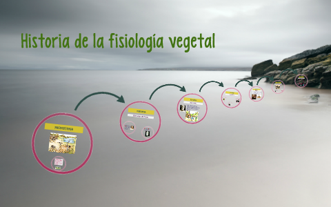 Historia De La Fisiología Vegetal By Wilber Santiago Jimenez On Prezi