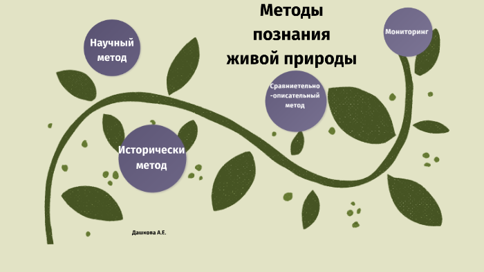 Методы познания живой природы. Научный метод: поиск знаний о живой природе.