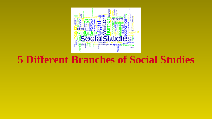 5-different-branches-of-social-studies-by-nicole-roehlig