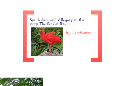 allegory in the scarlet ibis