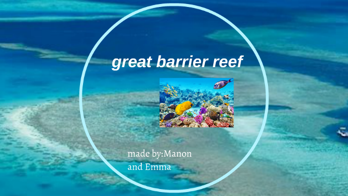 Great barrier reef by Manon V on Prezi