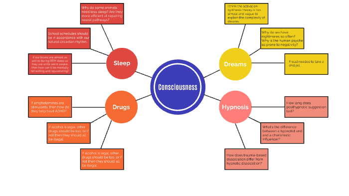 Consciousness Concept Map by Seraiah Woods on Prezi