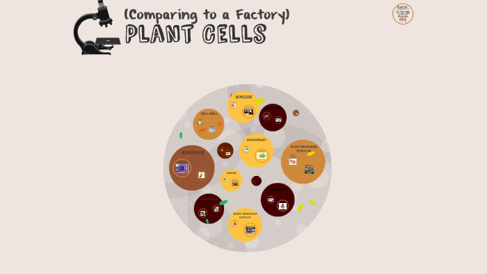 Comparing Plant Cell and a Factory by Group 6 Anthracite on Prezi