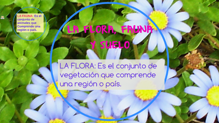 Top 118 K Es La Flora Y Fauna Anmb Mx