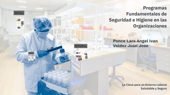 Programas Fundamentales De Seguridad E Higiene En Las Organizaciones