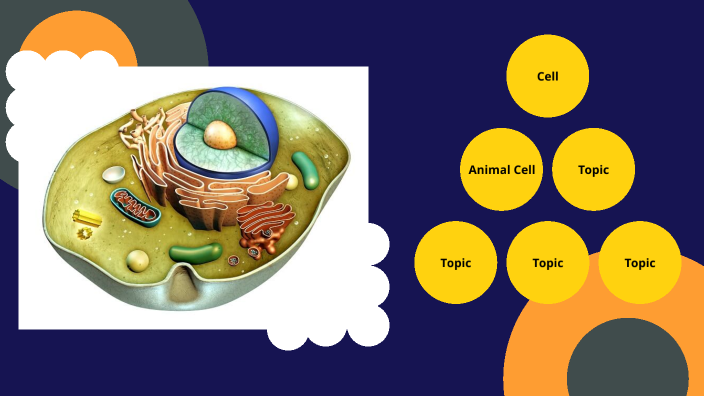 ANIMAL CELL by Adrinne Graciela Balauro on Prezi