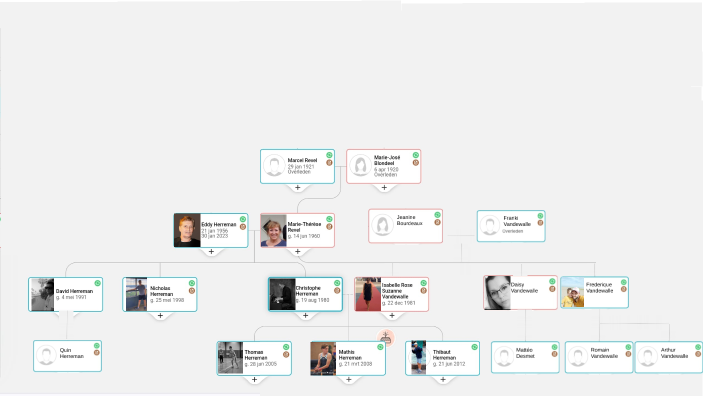 stammbaum by Mathis Herreman on Prezi