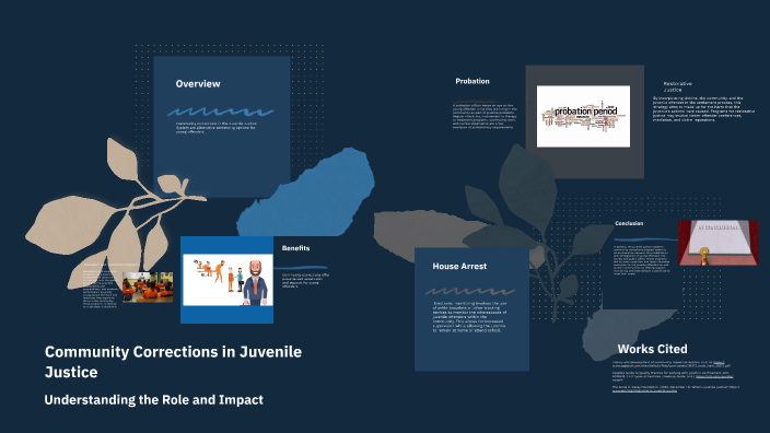 Community Corrections in Juvenile Justice by Noah Jackson on Prezi