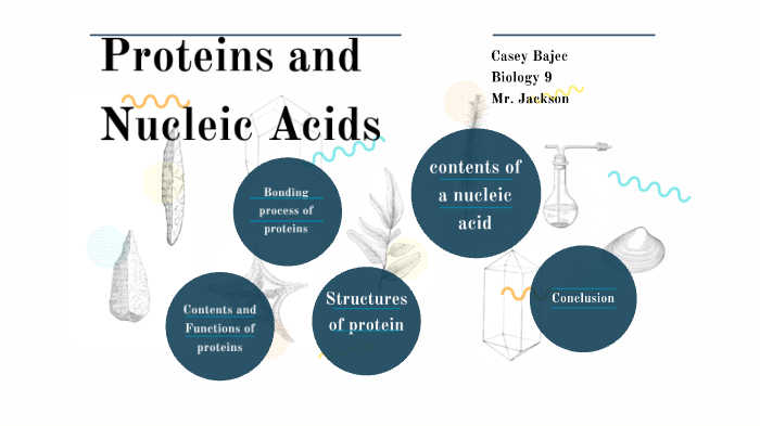 Proteins and Nucleic Acids by Casey Bajec on Prezi