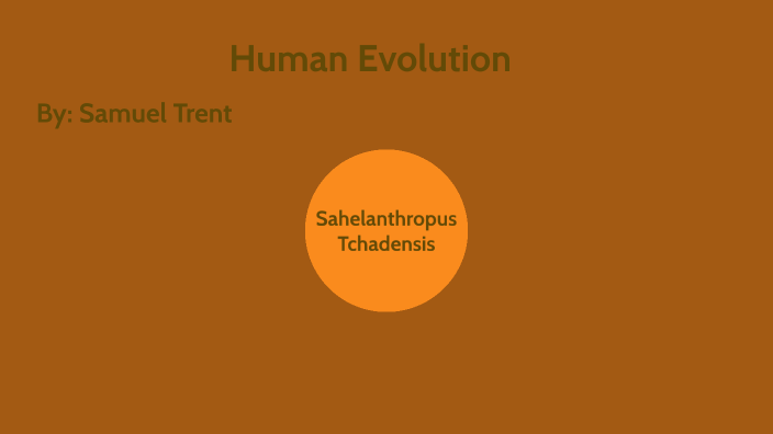 Human Evolution by Samuel Trent on Prezi