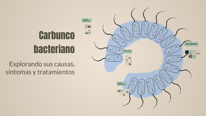 Carbunco bacteriano by Cris Maria Antonela Domínguez Flores on Prezi