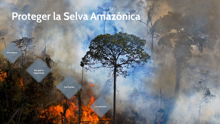 Proteger la Selva Amazónica by Ian on Prezi