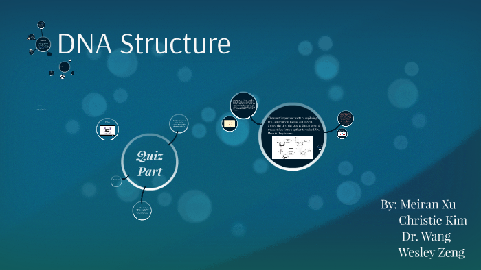 DNA Structure by Meiran Xu on Prezi