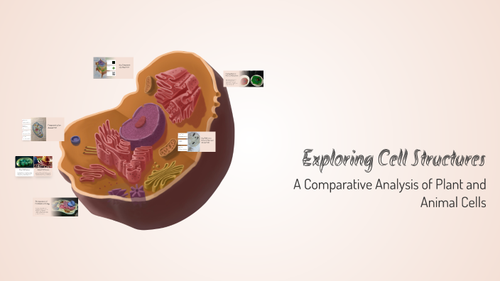 Exploring Cell Structures by MARCUS BROWN on Prezi