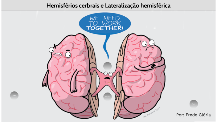 Hemisférios cerbrais e Lateralização hemisférica by frede glória on Prezi