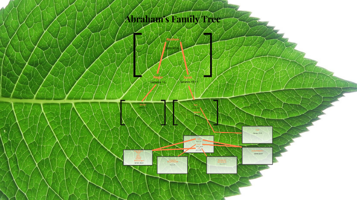 Abraham's Family Tree by maggie emmer on Prezi
