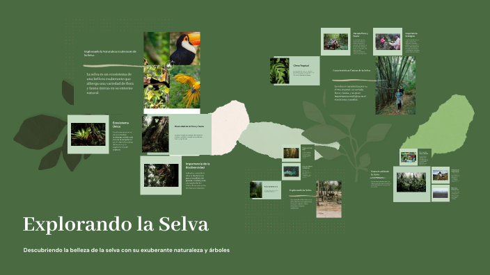 Explorando la Selva by Johan Sebastián Peña rincon on Prezi
