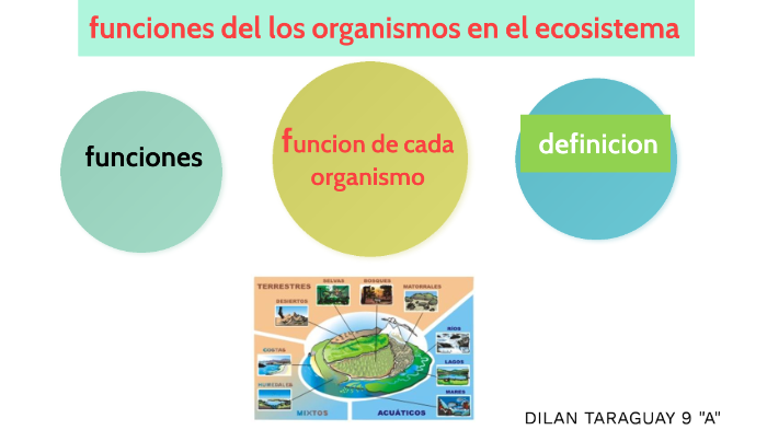 organismos en los ecosistemas by Dilan Ariel Taraguay Alamagro on Prezi