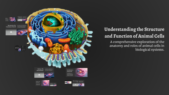 Understanding the Structure and Function of Animal Cells by youssef ...