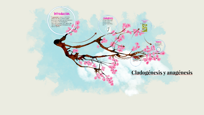 Cladogenesis y anagenesis by Angie Guerrero on Prezi