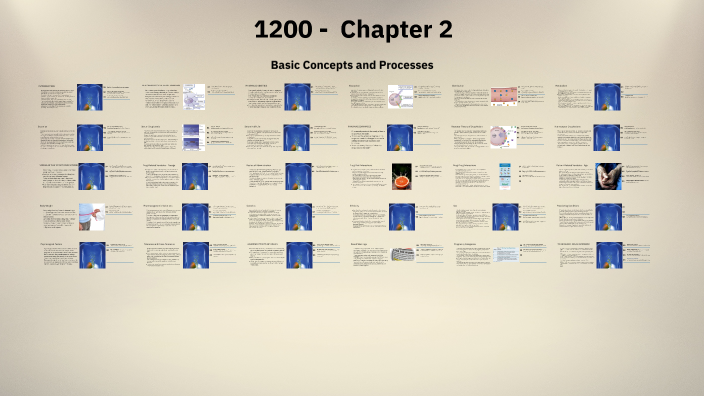 1200 Chapter 2 - Basic Concepts and Processes by Bryan Barton on Prezi
