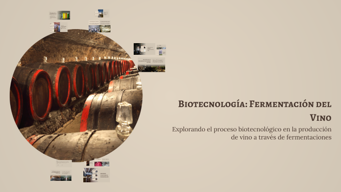 Biotecnología: Fermentación del Vino by Cristopher Parra on Prezi