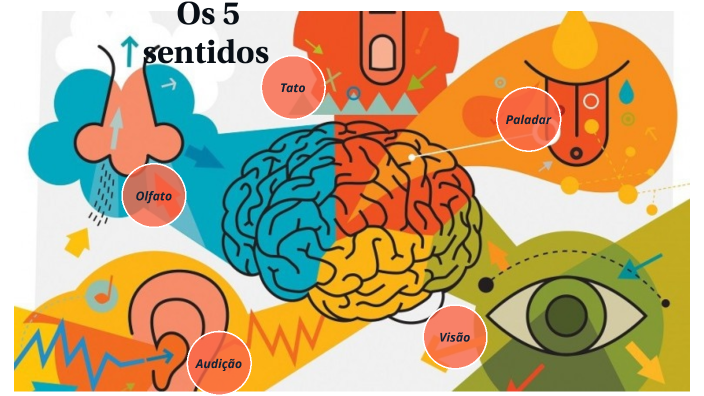 Mapa mental PPB Sistema sensorial by Júlia Quintas on Prezi