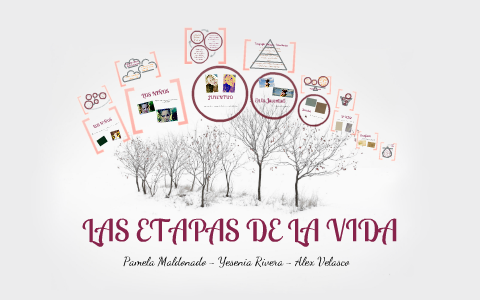 Etapas de la vida by yesenia rivera on Prezi