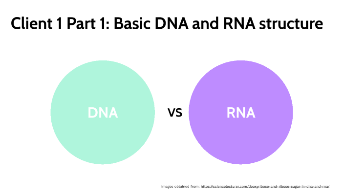 Client 1/ Materials on basic DNA and RNA by Mackenzie Howell on Prezi