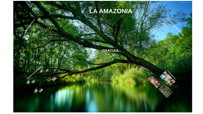 LA AMAZONIA by andres felipe rendon fernandez on Prezi