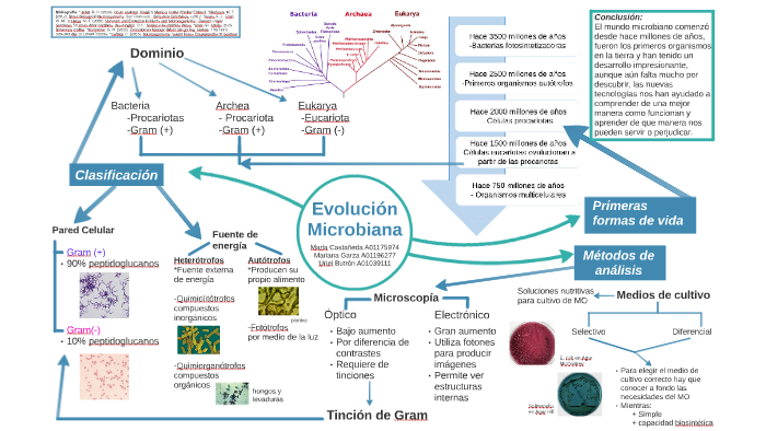 Evolución Microbiana by Mariana G on Prezi