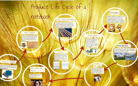 Product Life Cycle Of A Notebo By Libby Wedewer