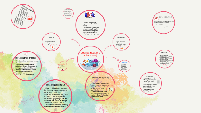 Animal Cell project by courtney holford on Prezi