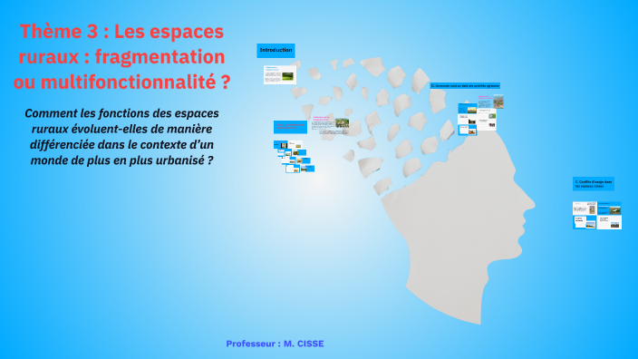 Thème 3 : Les espaces ruraux : fragmentation ou multifonctionnalité