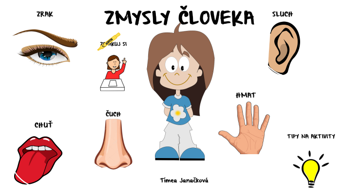 Zmysly človeka By Timea Janackova On Prezi