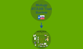 Biology Staar Review Reporting Category 3 By Donna Sue Perkins