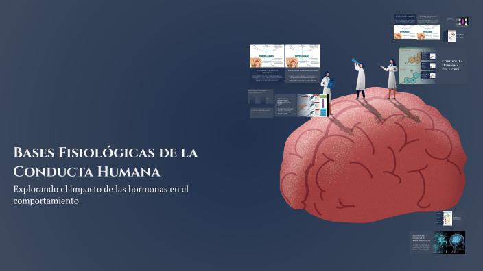 Bases Fisiológicas de la Conducta Humana by Jaks 7a6s on Prezi