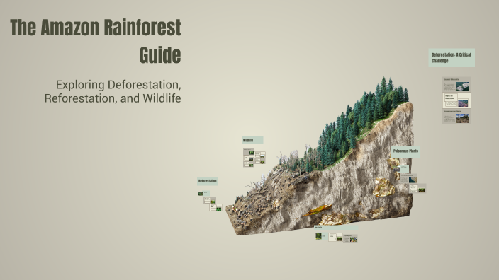 The Amazon Rainforest Guide by Arnav Tilekar on Prezi