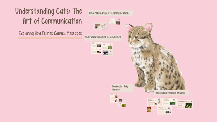 Understanding Cats: The Art of Communication by Amanda Kendall on Prezi