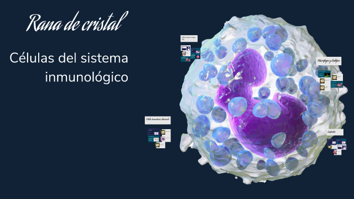 Rezi Rana Rana de cristal by Nahuel Guerra on Prezi