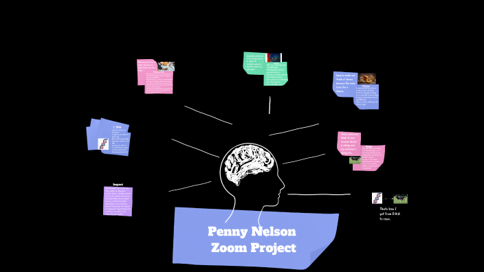 Penny Nelson Zoom Project by Tammy Davis on Prezi