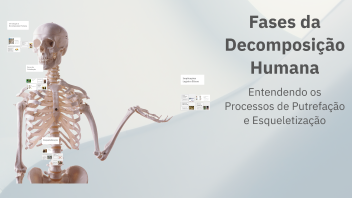 Fases da Decomposição Humana by Ashley Barcellos de Aragão on Prezi