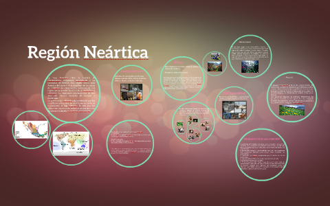 Región Neártica by Angeles Ortega on Prezi