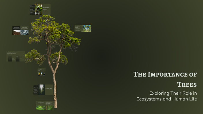 The Importance of Trees by wiewióra11 koszyczek on Prezi