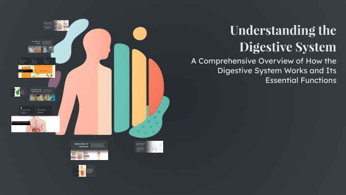 Understanding the Digestive System by Andrew Pye on Prezi