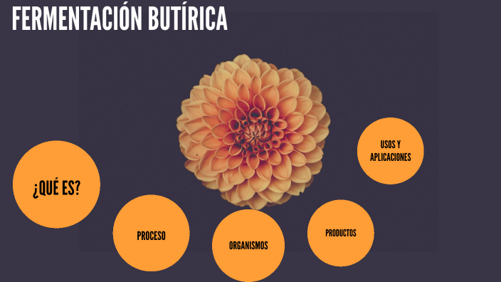 Fermentación butírica by Carlos Mena Calleja on Prezi